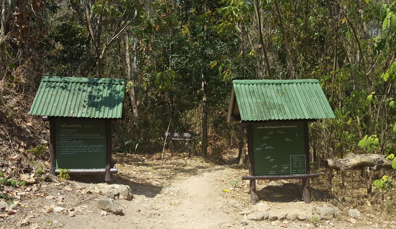 The Monk's Trail Chian Mai