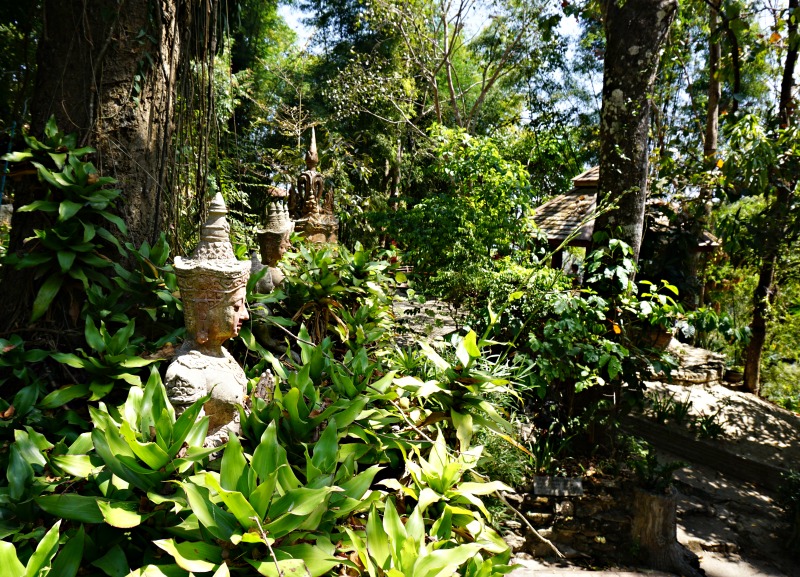 The Monk's Trail Chiang Mai