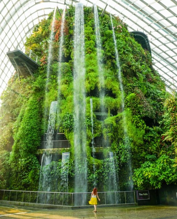 Waterfall at The Cloud Forest Singapore