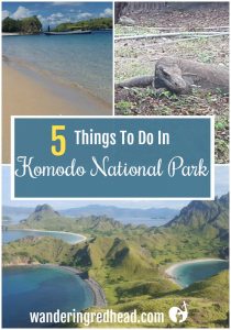 Things to do In Komodo National Park Pinterest Image