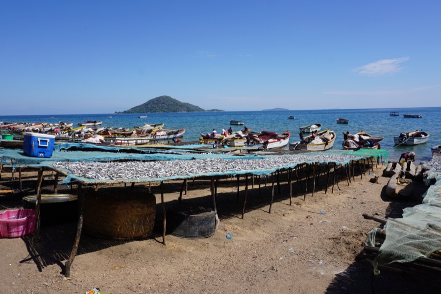 Lake Malawi Fishing Industry