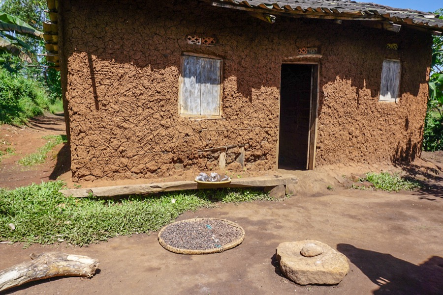 Coffee in Bigodi Village Uganda