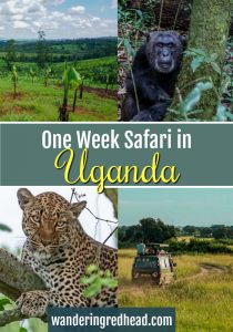 One Week Safari in Uganda