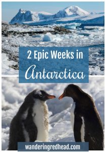 Pinterest Image with Penguins and Icebergs in Antarctica