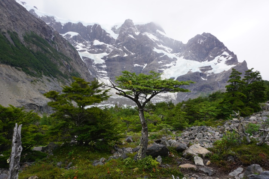 Guide to Hiking Torres Del Paine National Park