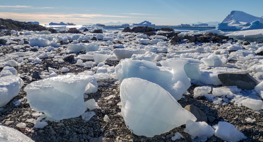 Antarctica Holiday