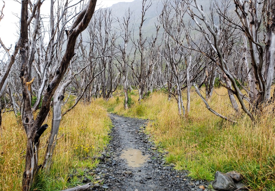 Guide to Hiking Torres Del Paine National Park