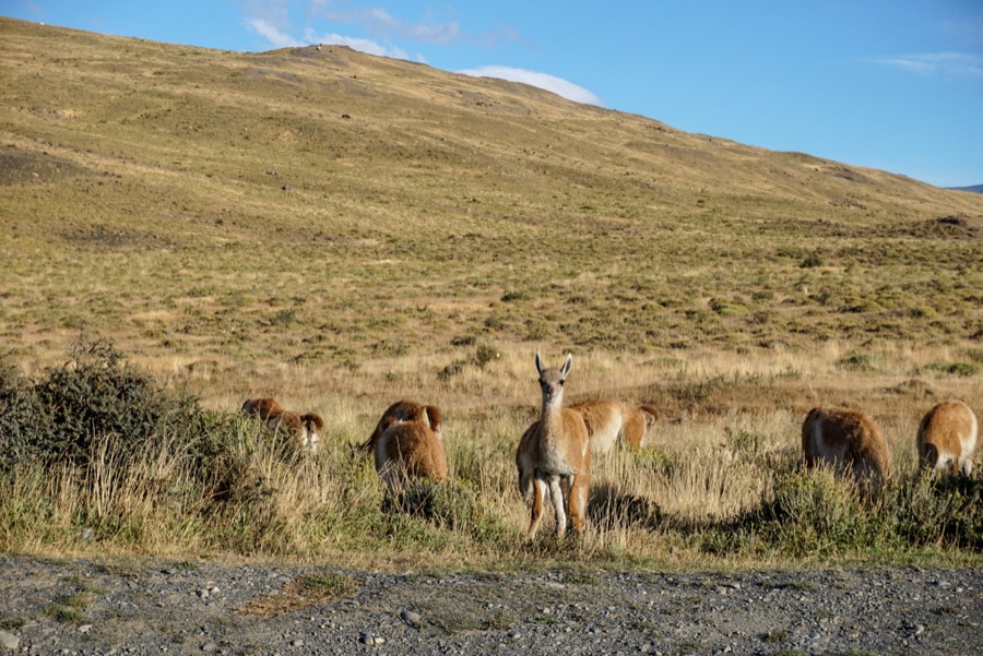 Guide to Hiking Torres Del Paine National Park