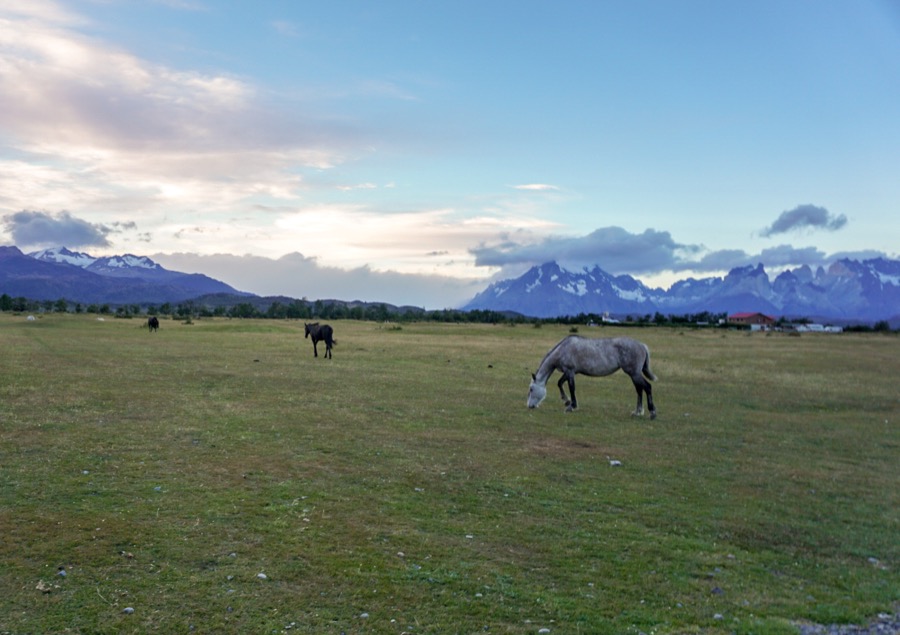 Guide to Hiking Torres Del Paine National Park