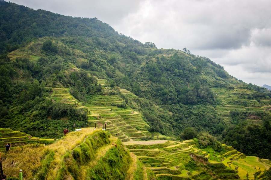 Banaue Rice Terraces PHilippines