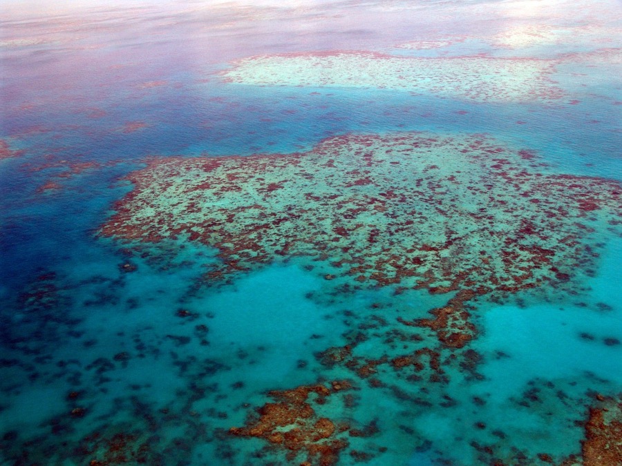 Blue ocean and with coral reef island. Wonder of the World, the Great Barrier Reef in Australia