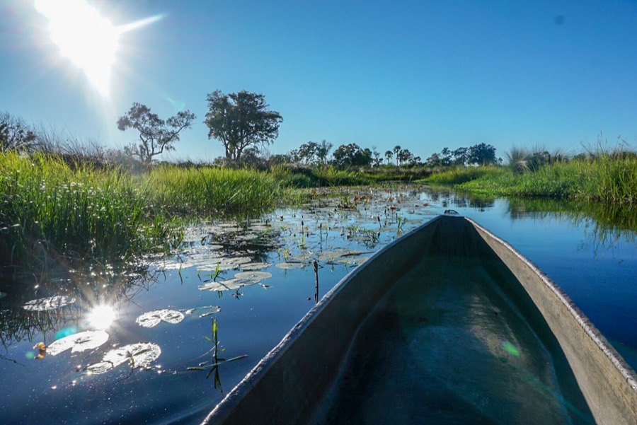 Makoro boat on the Okavango delta in Botswana