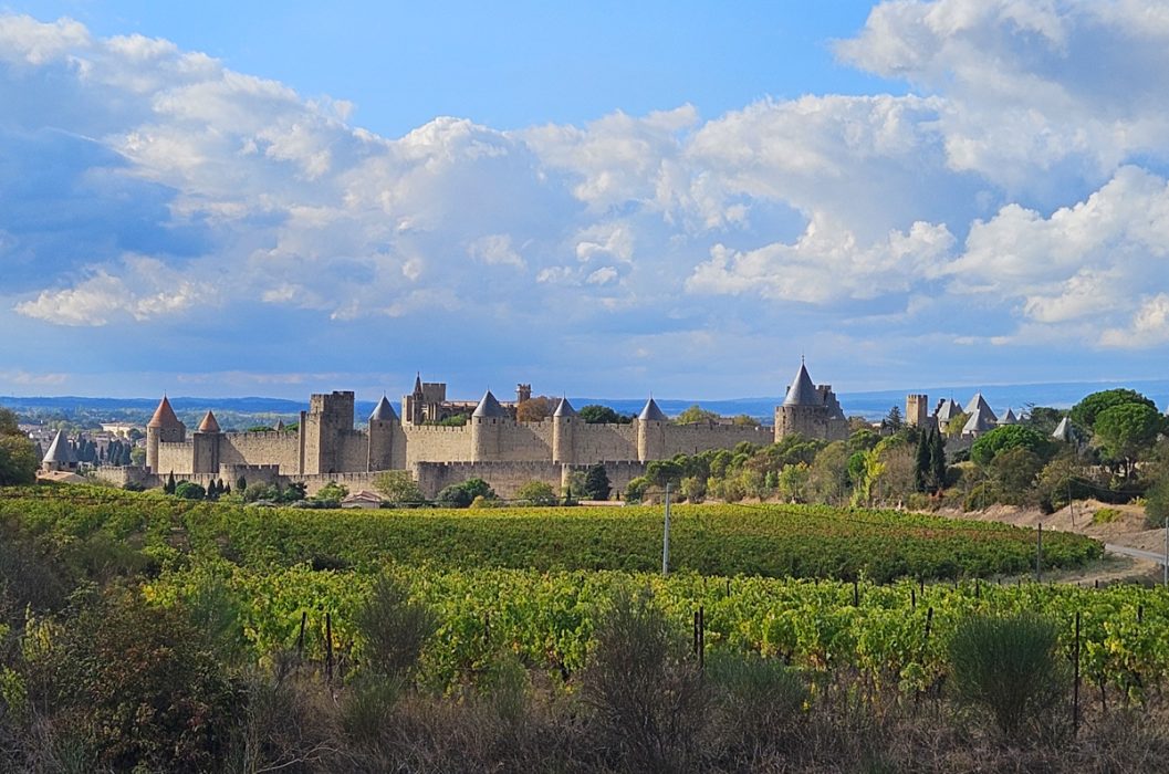 View of a castle from across the vineyards in southern france