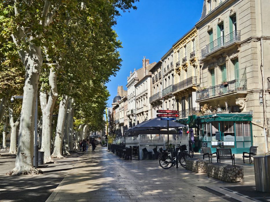 Tree lined street in Narbonne, France